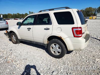 Drugie zdjęcie samochodu z przodu: 2010 FORD ESCAPE XLT VIN:1FMCU0D7XAKC31109 - miniatura