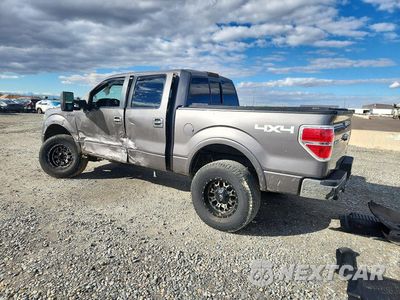 Drugie zdjęcie samochodu z przodu: 2011 FORD F150 SUPERCREW VIN:1FTFW1EF1BFA22469 - miniatura