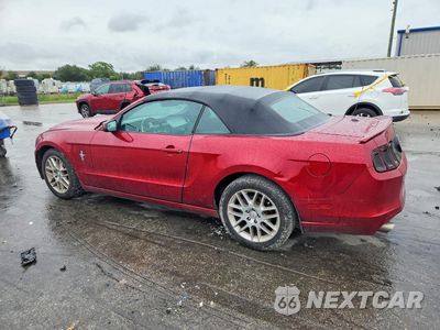 Drugie zdjęcie samochodu z przodu: 2014 FORD MUSTANG VIN:1ZVBP8EM4E5331055 - miniatura