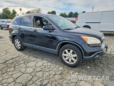 Czwarte zdjęcie samochodu z boku: 2007 HONDA CR-V EXL VIN:JHLRE48757C113942 - miniatura