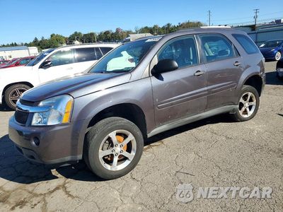 2007 CHEVROLET EQUINOX LS 2CNDL13F876047238 - główne zdjęcie licytacji z USA - miniatura