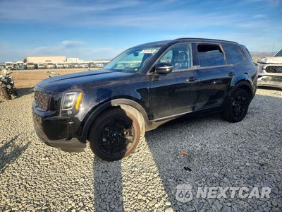 2021 KIA TELLURIDE EX 5XYP3DHC3MG105157 - główne zdjęcie licytacji z USA - miniatura