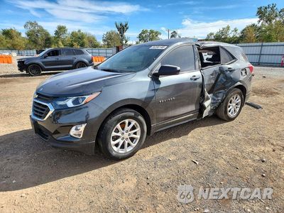 2019 CHEVROLET EQUINOX LS 3GNAXHEV7KS598982 - główne zdjęcie licytacji z USA - miniatura
