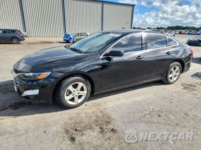 2019 CHEVROLET MALIBU LS 1G1ZB5ST2KF181214 - główne zdjęcie licytacji z USA - miniatura