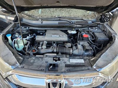Zdjęcie 11 z 12 samochodu: 2019 HONDA CR-V EX VIN:7FARW1H52KE007441 - miniatura