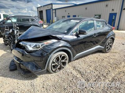 2019 TOYOTA C-HR XLE JTNKHMBXXK1016895 - główne zdjęcie licytacji z USA - miniatura
