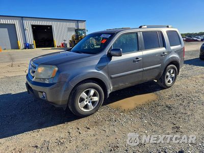 2011 HONDA PILOT EXL 5FNYF3H52BB032889 - główne zdjęcie licytacji z USA - miniatura