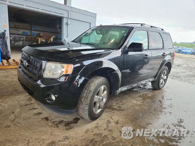 2012 FORD ESCAPE LIMITED 1FMCU0E74CKA34907 - główne zdjęcie licytacji z USA - miniatura
