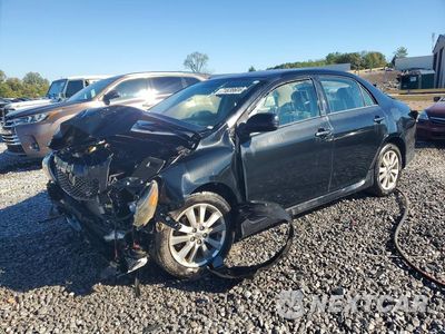 2009 TOYOTA COROLLA S 2T1BU40E59C184225 - główne zdjęcie licytacji z USA - miniatura