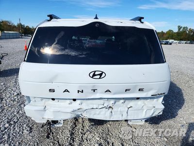 Zdjęcie 6 z 14 samochodu: 2026 HYUNDAI SANTA FE CALLIGRAPHY VIN:5NMP5DG10TH099946 - miniatura