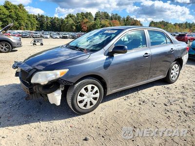 2009 TOYOTA COROLLA LE 2T1BU40E39C174597 - główne zdjęcie licytacji z USA - miniatura