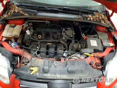 Zdjęcie 11 z 12 samochodu: 2014 FORD FOCUS SE VIN:1FADP3F23EL227461 - miniatura