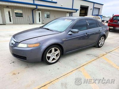 2006 ACURA 3.2TL 19UUA66206A046930 - główne zdjęcie licytacji z USA - miniatura