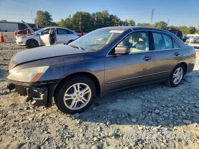2007 HONDA ACCORD EX 1HGCM56887A205163 - główne zdjęcie licytacji z USA - miniatura