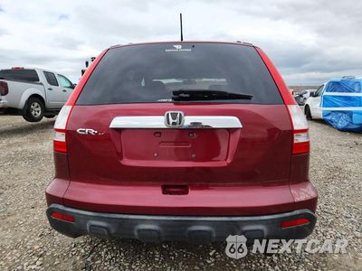 Zdjęcie 6 z 12 samochodu: 2007 HONDA CR-V EXL VIN:JHLRE48767C069076 - miniatura