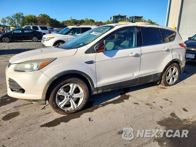 2014 FORD ESCAPE SE 1FMCU9GX2EUA10355 - główne zdjęcie licytacji z USA - miniatura