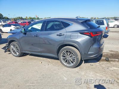 Drugie zdjęcie samochodu z przodu: 2022 LEXUS NX 350H VIN:2T2HKCEZ2NC006509 - miniatura
