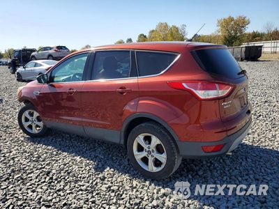 Drugie zdjęcie samochodu z przodu: 2014 FORD ESCAPE SE VIN:1FMCU0GX2EUA67957 - miniatura