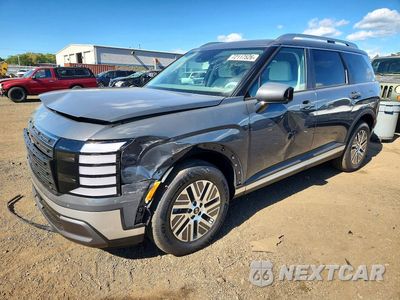 2026 HYUNDAI PALISADE SEL PREMIUM KM8RHESAXTU111571 - główne zdjęcie licytacji z USA - miniatura