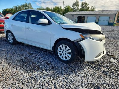 Czwarte zdjęcie samochodu z boku: 2010 KIA FORTE EX VIN:KNAFU4A27A5129148 - miniatura