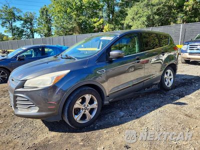 2016 FORD ESCAPE SE 1FMCU9GX2GUC04063 - główne zdjęcie licytacji z USA - miniatura
