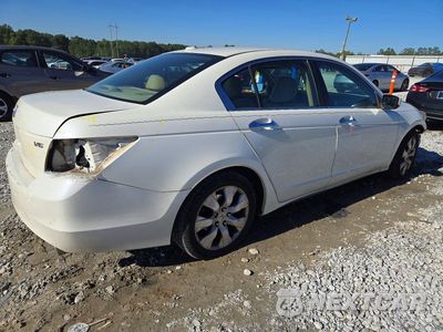 Trzecie zdjęcie samochodu z tyłu: 2008 HONDA ACCORD EXL VIN:1HGCP36888A027848 - miniatura