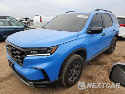 2024 HONDA PILOT TRAILSPORT 5FNYG1H60RB044947 - główne zdjęcie licytacji z USA - miniatura