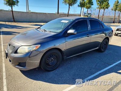 2010 TOYOTA COROLLA LE 1NXBU4EE9AZ204861 - główne zdjęcie licytacji z USA - miniatura