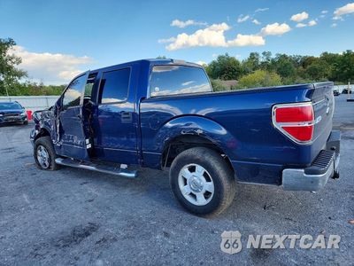 Drugie zdjęcie samochodu z przodu: 2009 FORD F150 SUPERCREW VIN:1FTRW14809FA80731 - miniatura