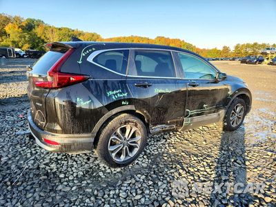 Trzecie zdjęcie samochodu z tyłu: 2022 HONDA CR-V EX VIN:2HKRW2H59NH629137 - miniatura