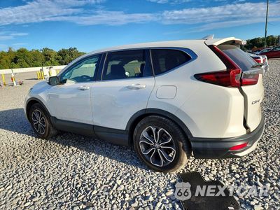 Drugie zdjęcie samochodu z przodu: 2020 HONDA CR-V EX VIN:7FARW1H57LE027959 - miniatura