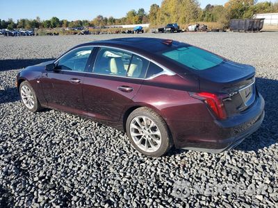 Drugie zdjęcie samochodu z przodu: 2020 CADILLAC CT5 PREMIUM LUXURY VIN:1G6DT5RKXL0122592 - miniatura