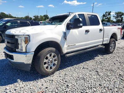 2019 FORD F250 SUPER DUTY 1FT7W2BT7KED50506 - główne zdjęcie licytacji z USA - miniatura