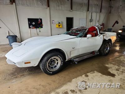 1979 CHEVROLET CORVETTE 1Z8789S406227 - główne zdjęcie licytacji z USA - miniatura