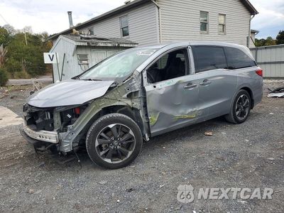 2024 HONDA ODYSSEY ELITE 5FNRL6H91RB000558 - główne zdjęcie licytacji z USA - miniatura