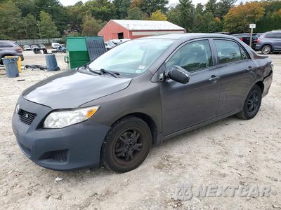 2009 TOYOTA COROLLA LE JTDBL40E19J008148 - główne zdjęcie licytacji z USA - miniatura