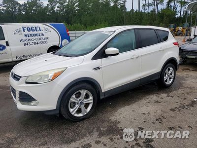 2014 FORD ESCAPE SE 1FMCU0GX2EUD41660 - główne zdjęcie licytacji z USA - miniatura