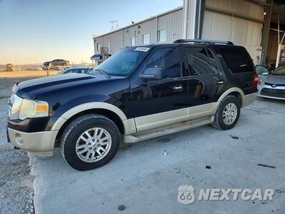 2009 FORD EXPEDITION EDDIE BAUER 1FMFU18569EA71235 - główne zdjęcie licytacji z USA - miniatura