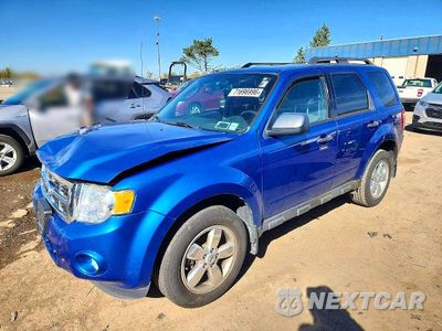 2012 FORD ESCAPE XLT 1FMCU9D79CKC58891 - główne zdjęcie licytacji z USA - miniatura