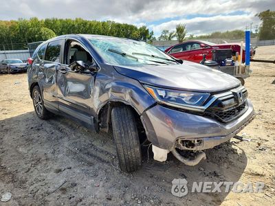Czwarte zdjęcie samochodu z boku: 2020 HONDA CR-V EX VIN:2HKRW1H52LH407482 - miniatura