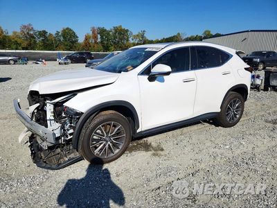 2023 LEXUS NX 350 2T2GGCEZ2PC027263 - główne zdjęcie licytacji z USA - miniatura