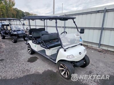 2023 EVOLUTION GOLF CART 7MZL40825PC000862 - główne zdjęcie licytacji z USA - miniatura