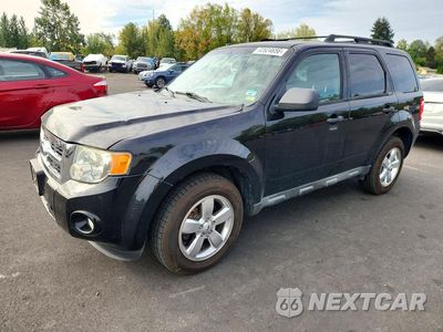 2009 FORD ESCAPE XLT 1FMCU03789KA48028 - główne zdjęcie licytacji z USA - miniatura