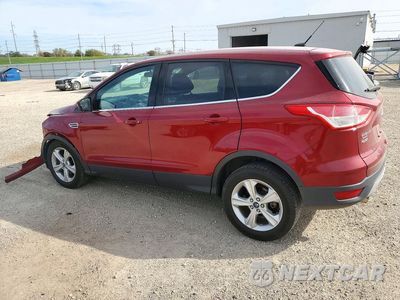 Drugie zdjęcie samochodu z przodu: 2014 FORD ESCAPE SE VIN:1FMCU0GX0EUC75688 - miniatura