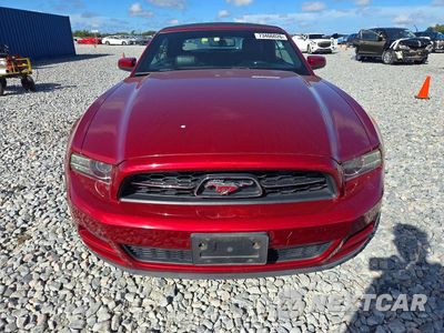 Piąte zdjęcie samochodu w środku: 2014 FORD MUSTANG VIN:1ZVBP8EM5E5248086 - miniatura