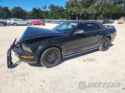 2005 FORD MUSTANG 1ZVFT84N255254693 - główne zdjęcie licytacji z USA - miniatura