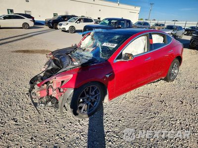 2020 TESLA MODEL 3 5YJ3E1EB4LF651443 - główne zdjęcie licytacji z USA - miniatura