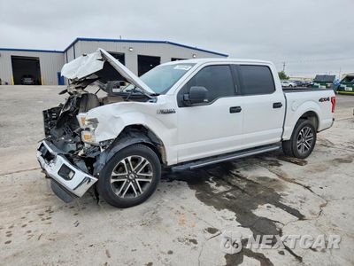 2015 FORD F-150 1FTEW1E88FFA54550 - główne zdjęcie licytacji z USA - miniatura