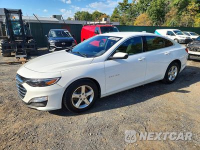 2023 CHEVROLET MALIBU LT 1G1ZD5ST9PF160796 - główne zdjęcie licytacji z USA - miniatura