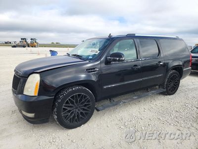 2010 CADILLAC ESCALADE ESV PREMIUM 1GYUKJEF7AR103793 - główne zdjęcie licytacji z USA - miniatura